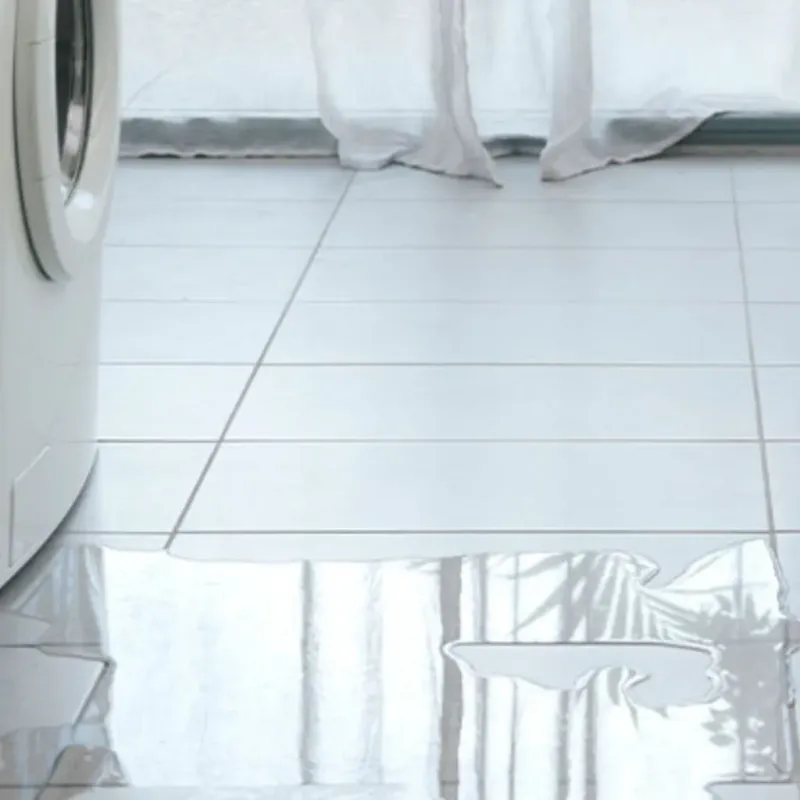 Appliance Leak Cleanup in Templeton, CA