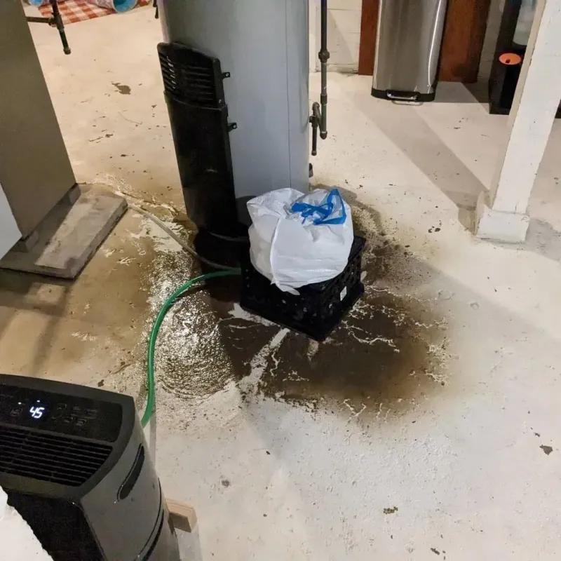 Sewage Backup Cleanup Service in Templeton, CA